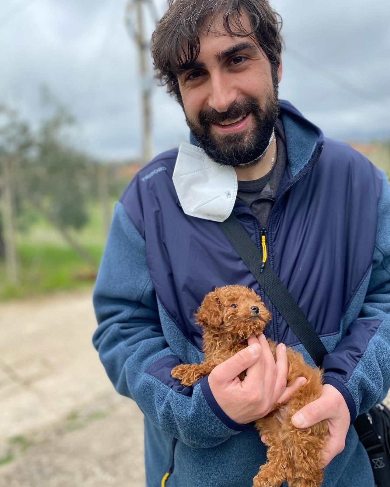 Rolling Dachshunds family