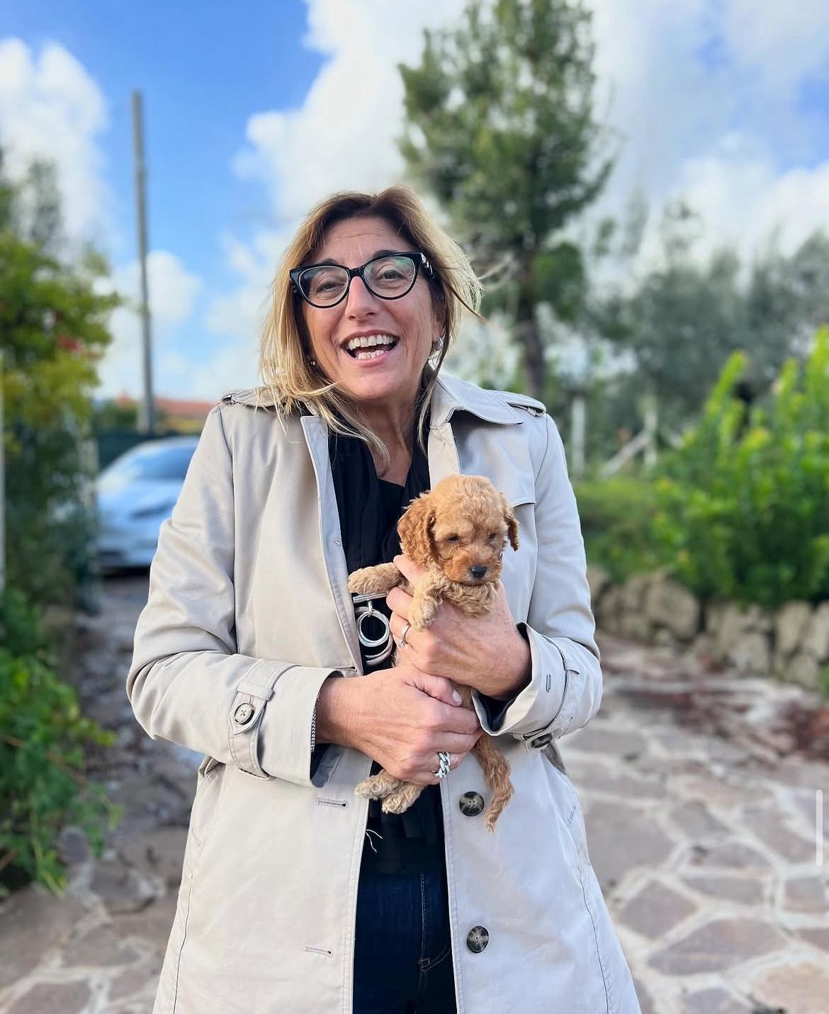 Rolling Dachshunds family