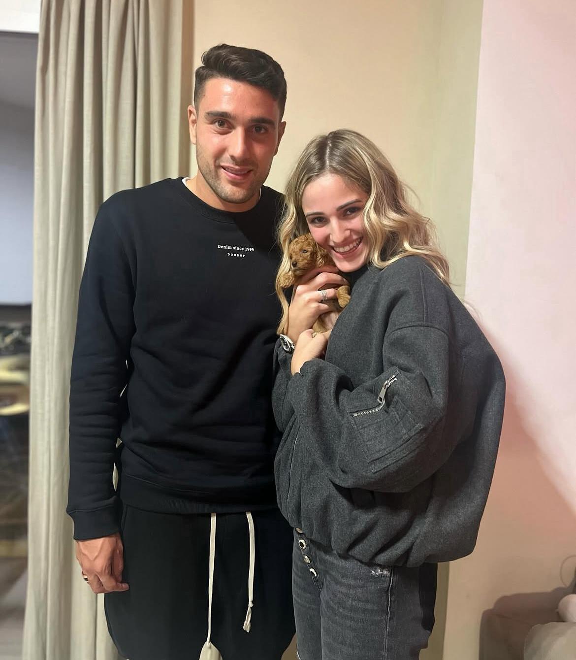 Rolling Dachshunds family