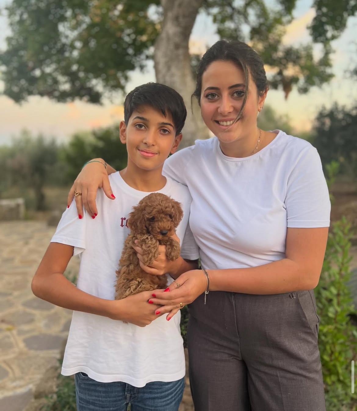 Rolling Dachshunds family