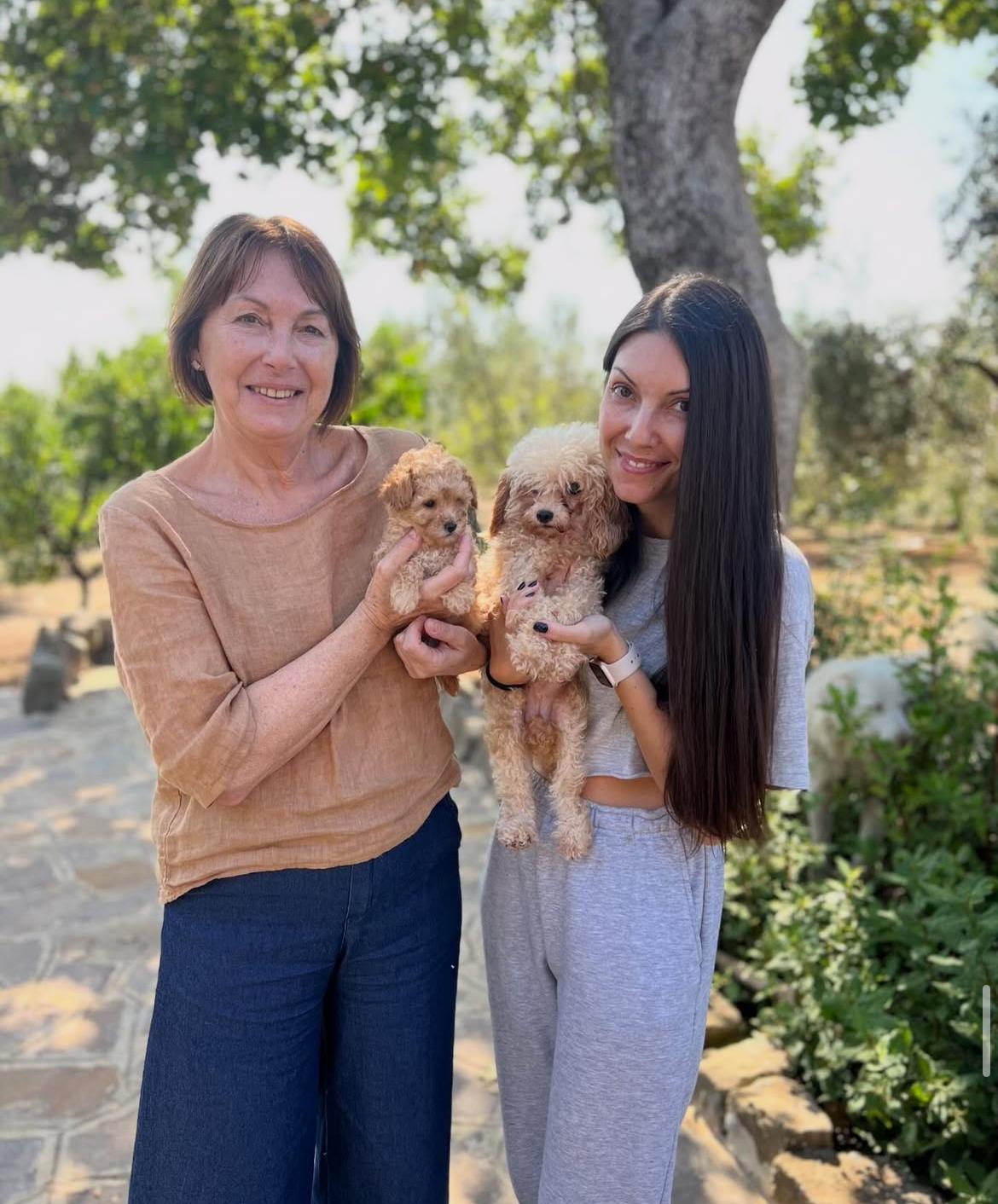 Rolling Dachshunds family