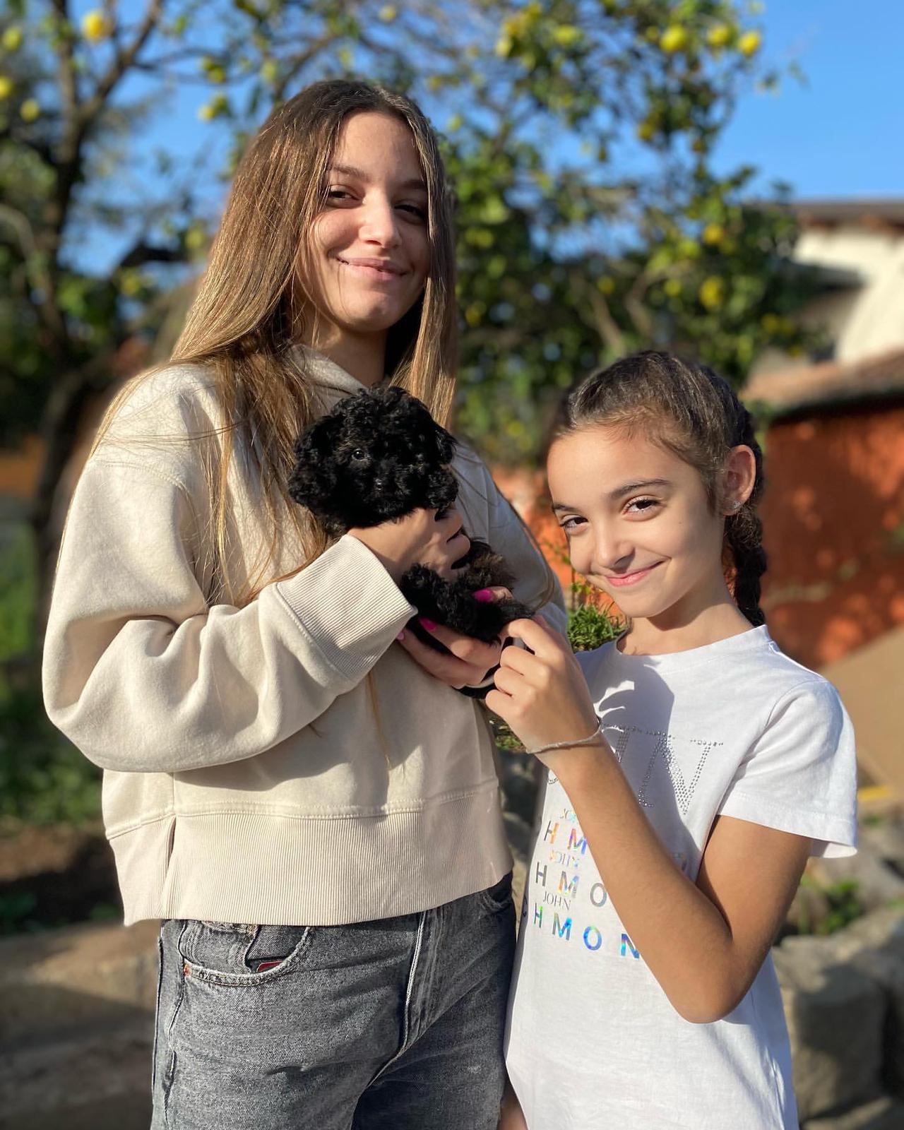 Rolling Dachshunds family