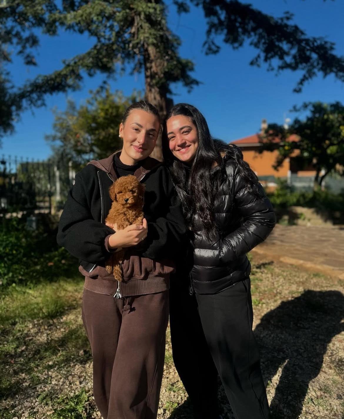 Rolling Dachshunds family