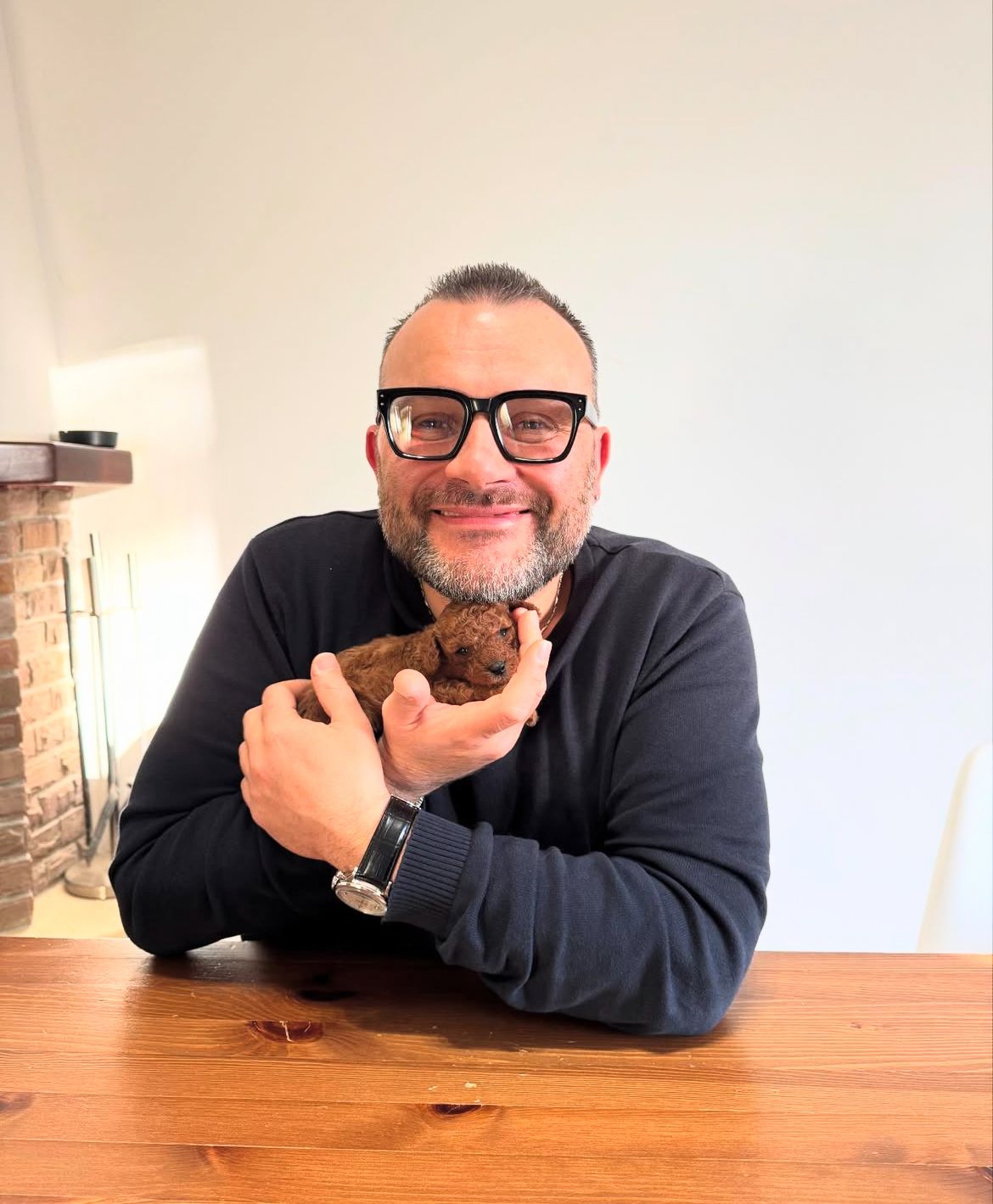 Rolling Dachshunds family