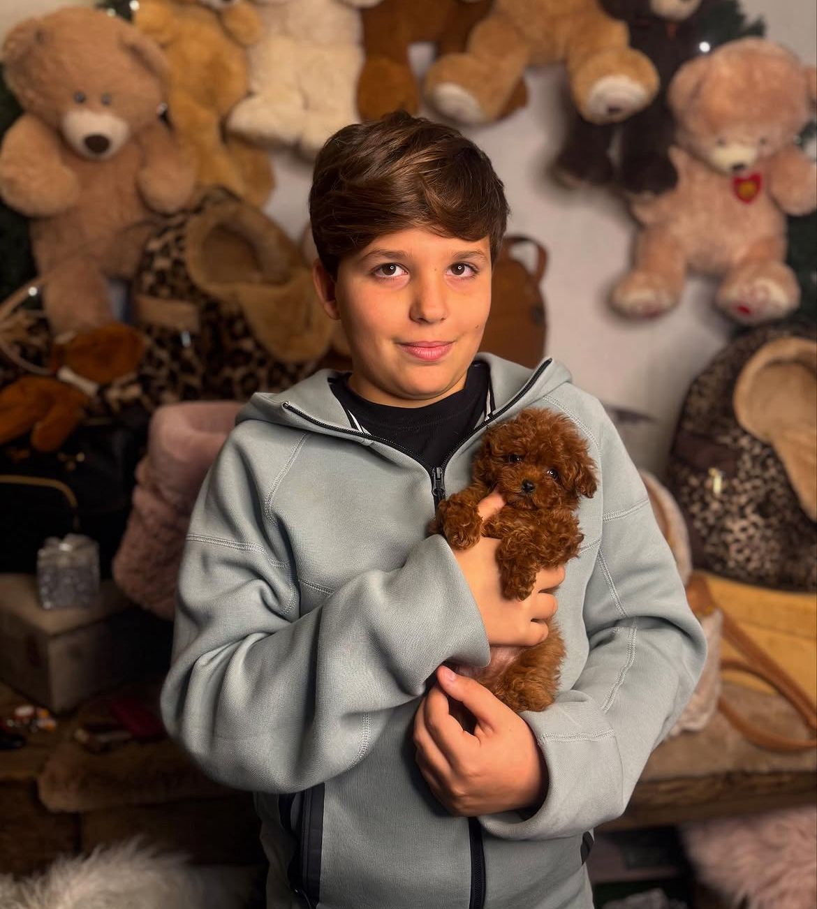 Rolling Dachshunds family