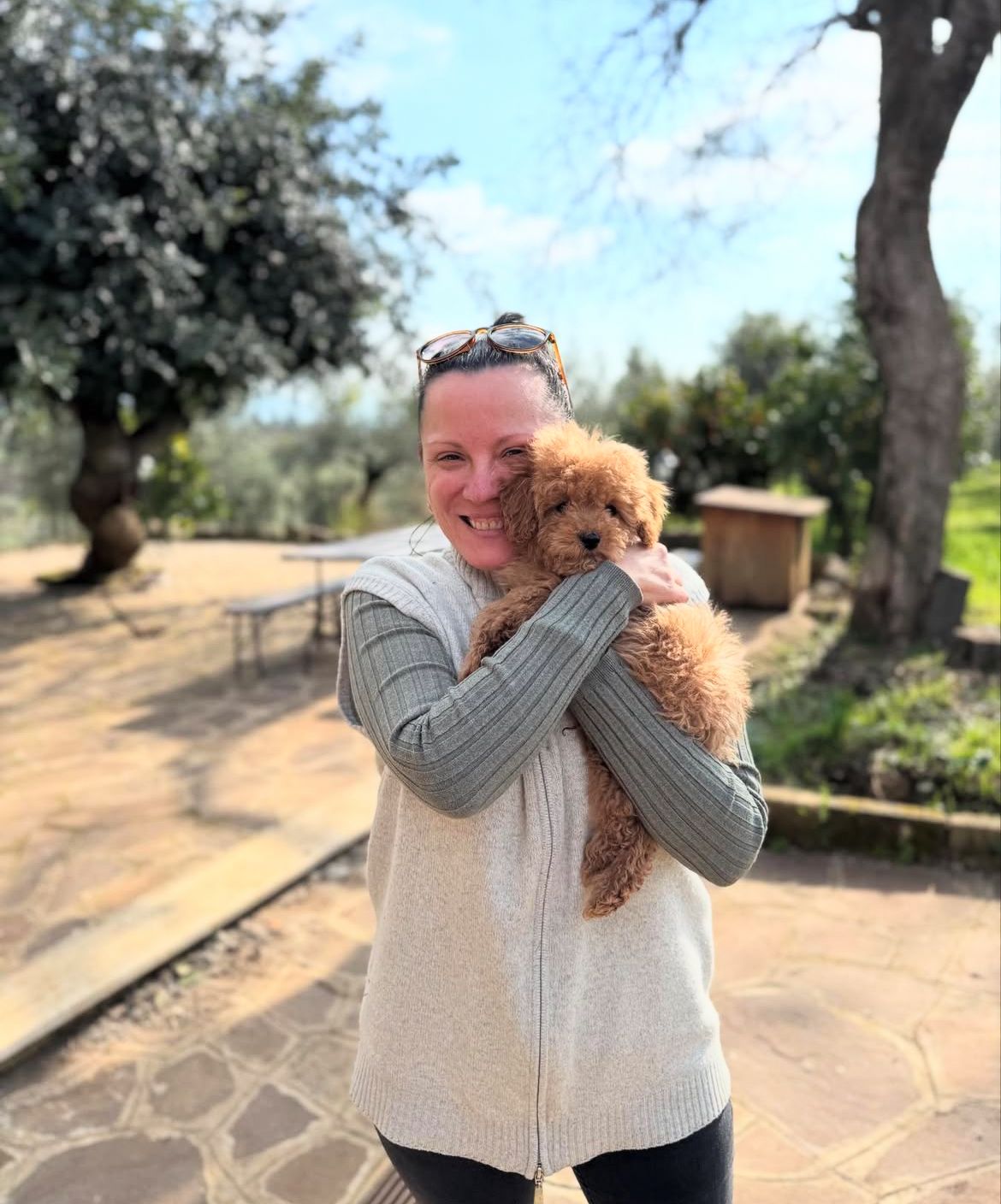 Rolling Dachshunds family