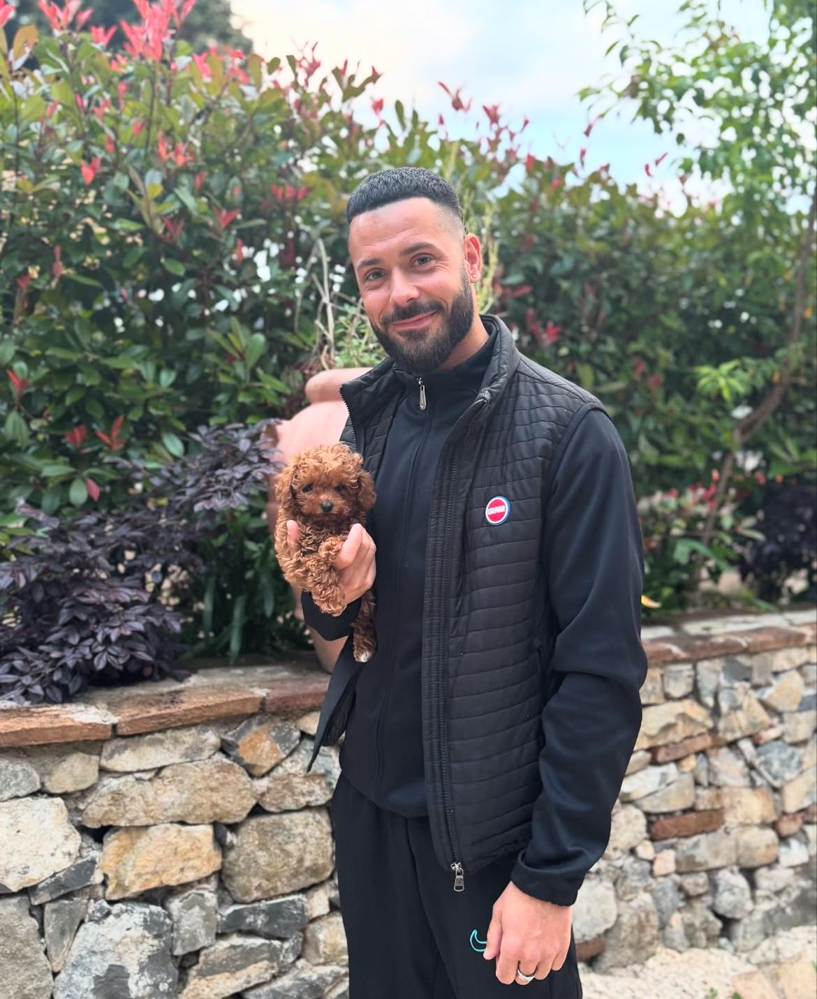 Rolling Dachshunds family