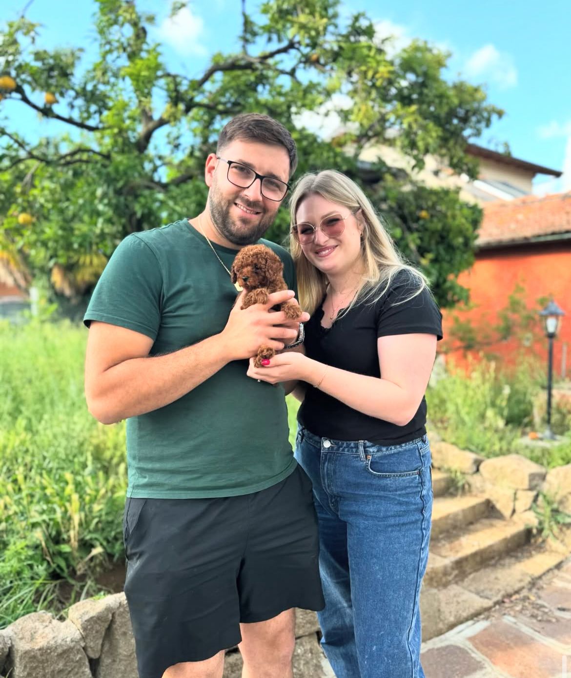 Rolling Dachshunds family