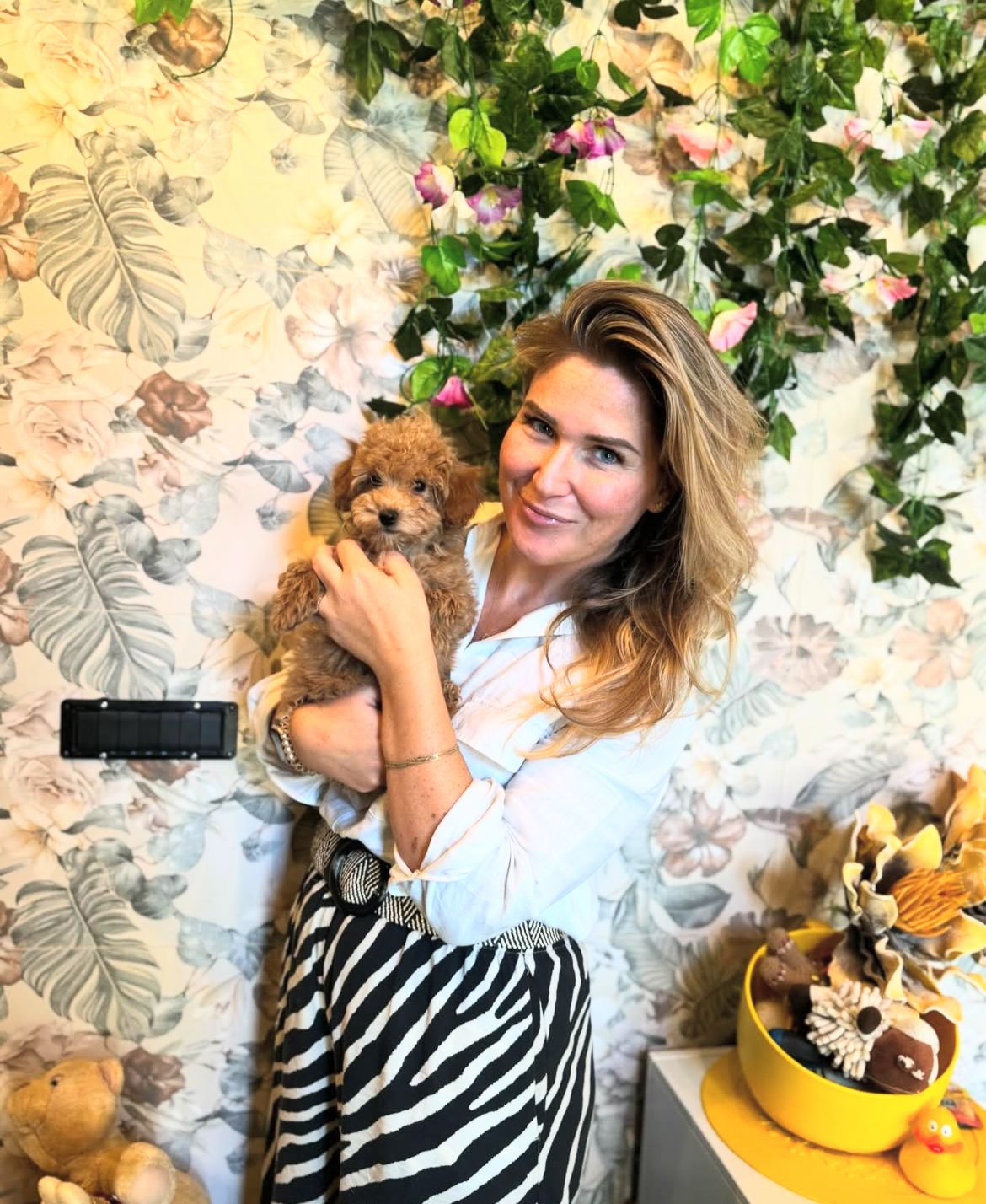 Rolling Dachshunds family