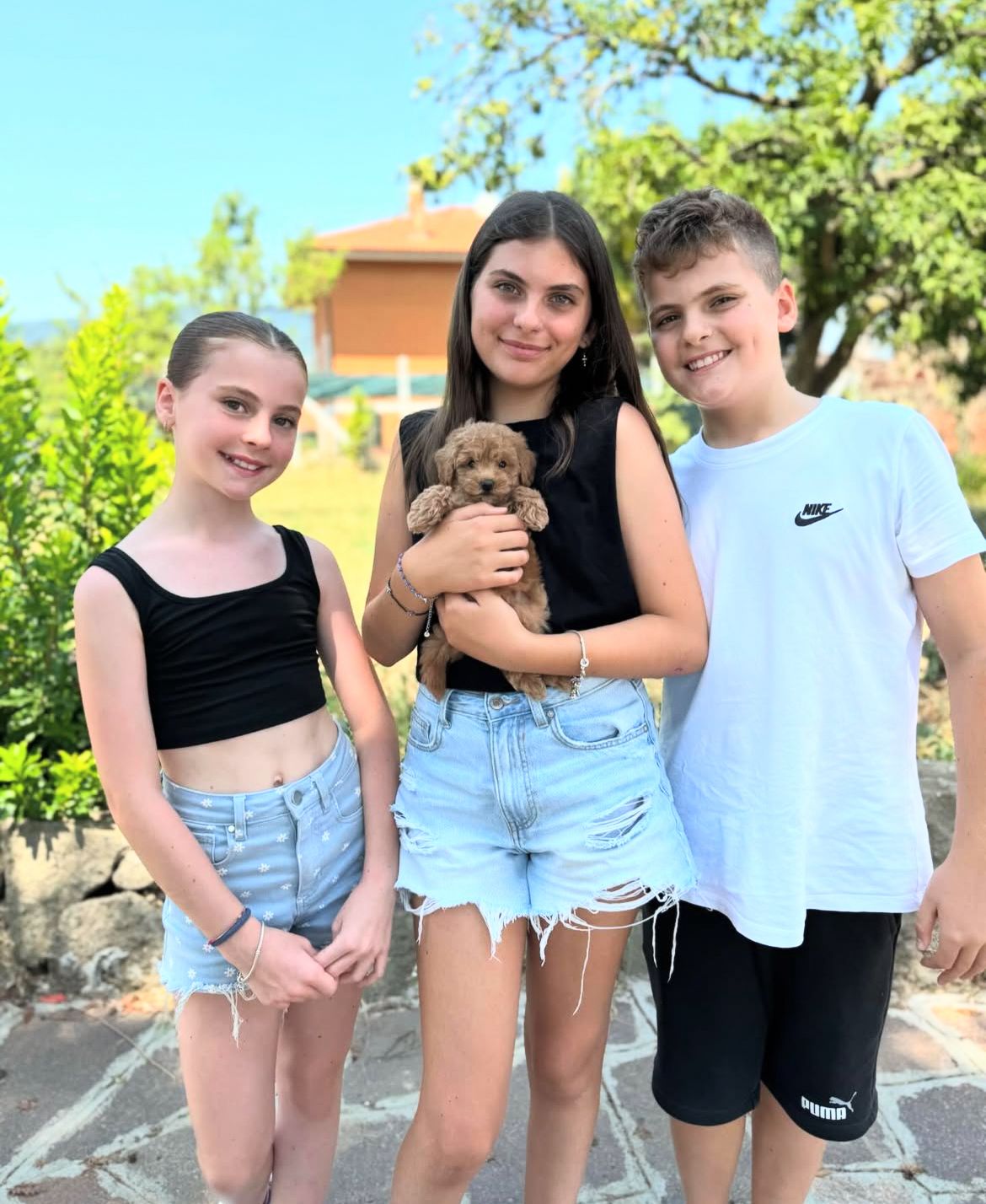 Rolling Dachshunds family