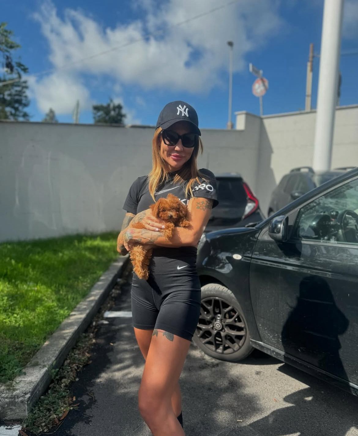 Rolling Dachshunds family