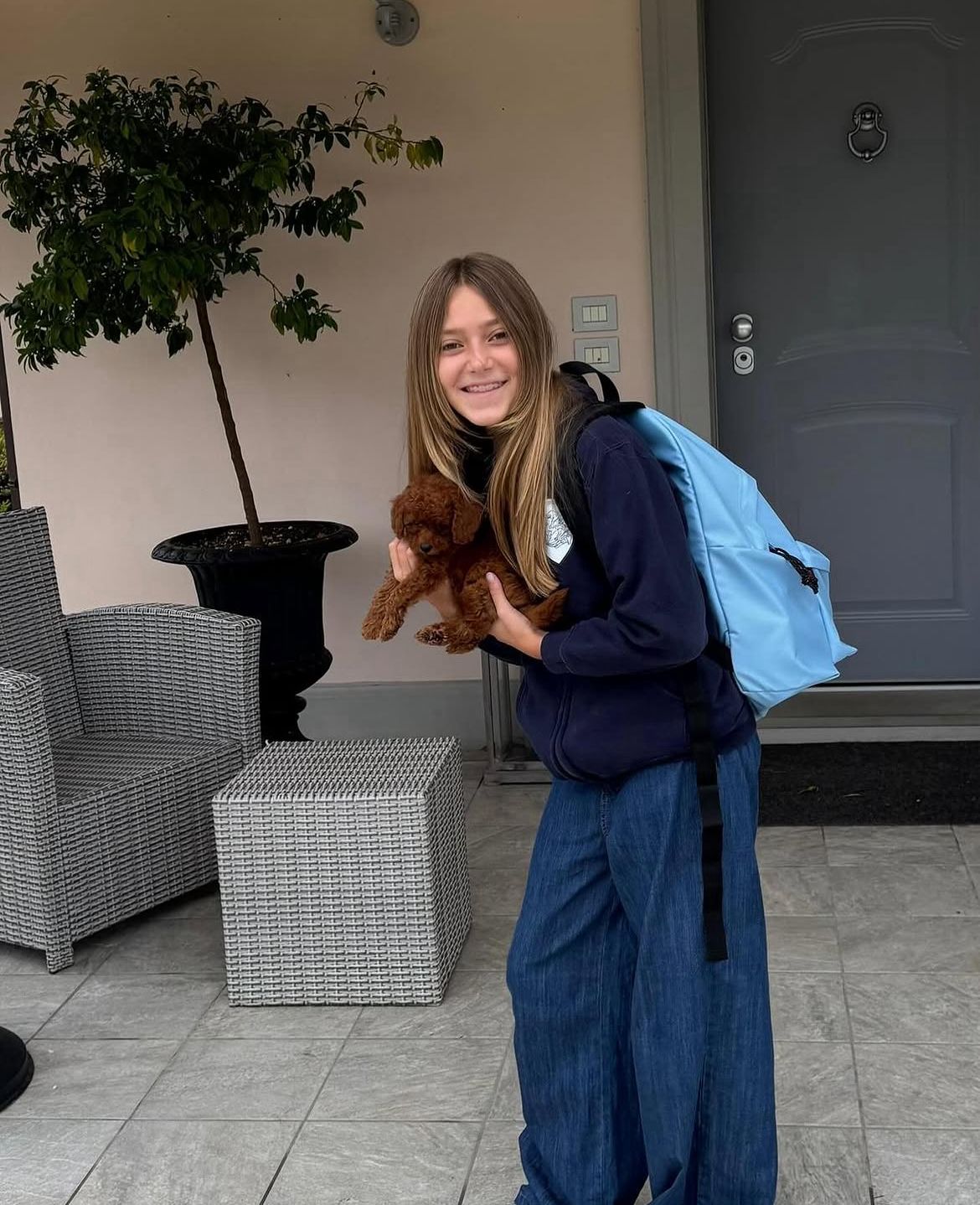 Rolling Dachshunds family