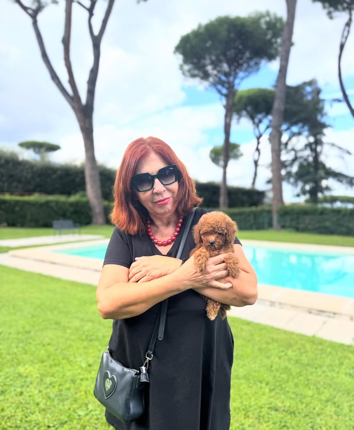 Rolling Dachshunds family